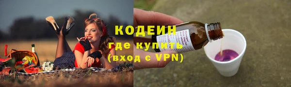 прущий лед Инсар