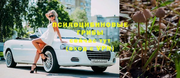 прущие грибы Каменка