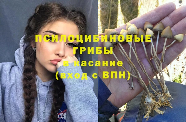 прущий лед Иннополис