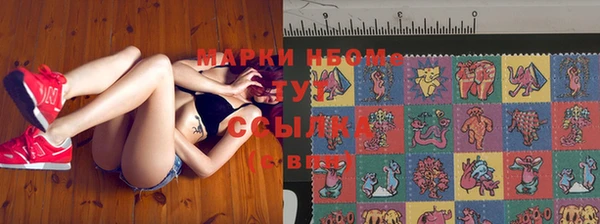 прущий лед Инсар