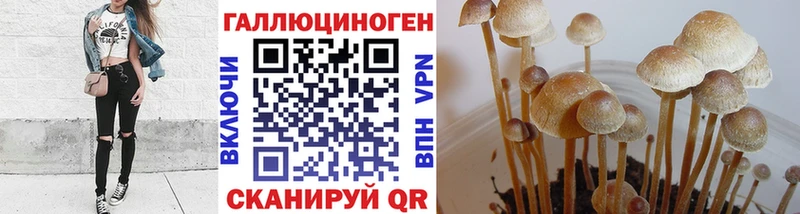 Псилоцибиновые грибы прущие грибы Краснокамск