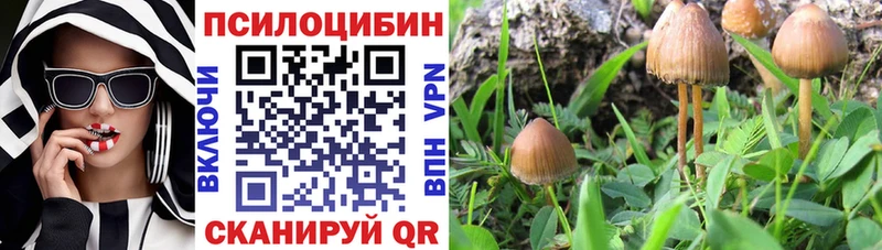 Псилоцибиновые грибы Psilocybe  Купить  Краснокамск 